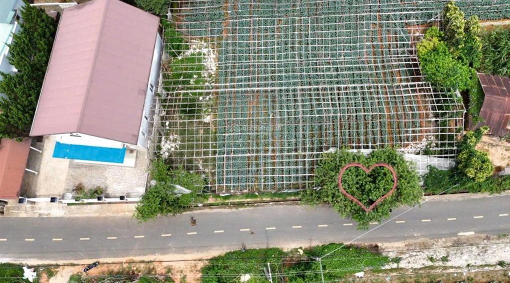 Bất động sản tại Lâm Đồng - ảnh 1