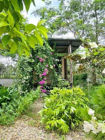 Bất động sản tại Bắc Ninh - ảnh 1