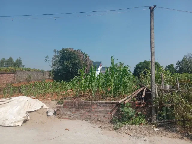 Bất động sản tại Phú Thọ - ảnh 1