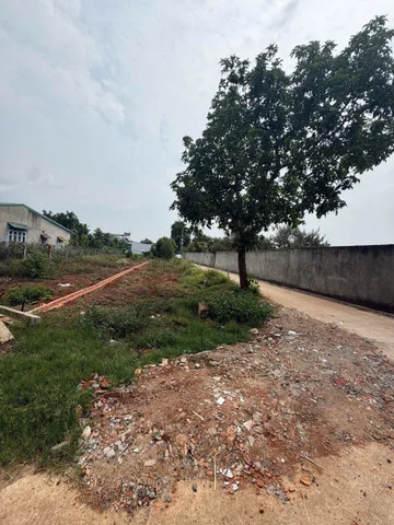 Bất động sản tại Đắk Lắk - ảnh 1
