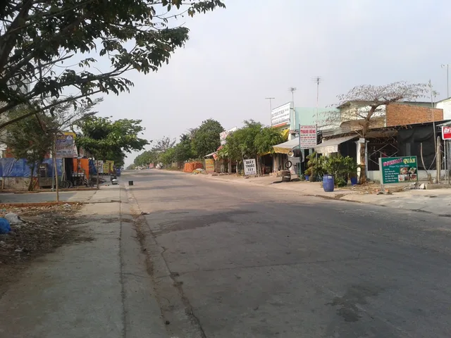 Bất động sản tại Bình Dương - ảnh 1
