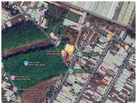 Bất động sản tại Bình Dương - ảnh 1