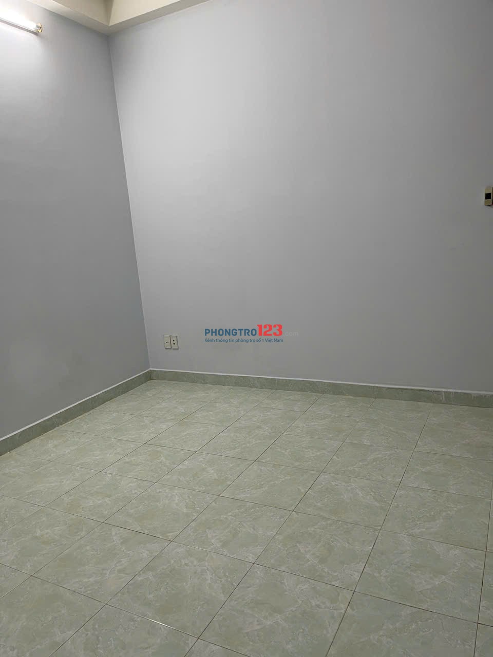 Bất động sản tại TP. Hồ Chí Minh - ảnh 1