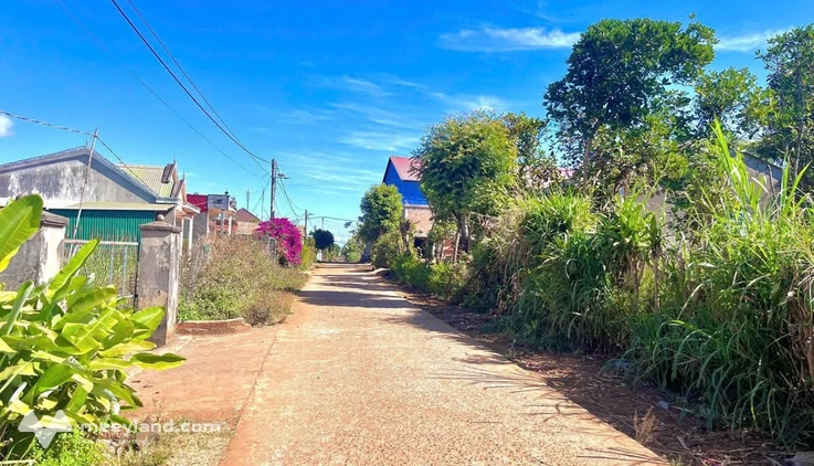 Bất động sản tại Gia Lai - ảnh 1