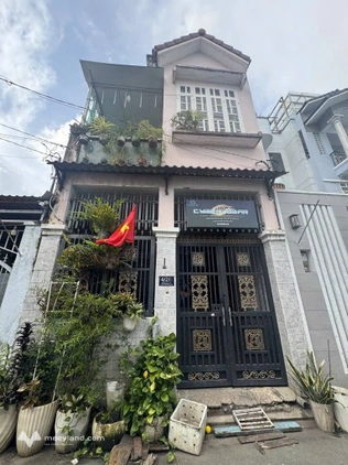 Bất động sản tại TP. Hồ Chí Minh - ảnh 1
