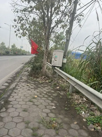 Bất động sản tại Hải Phòng - ảnh 1