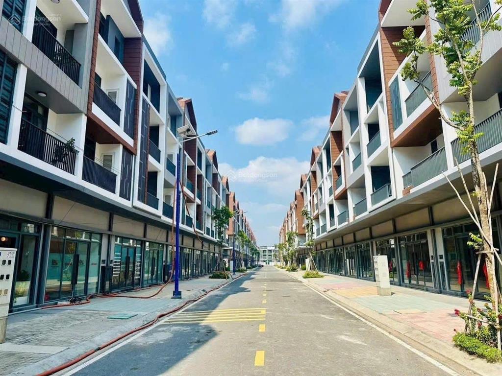 Bất động sản tại Bình Dương - ảnh 1
