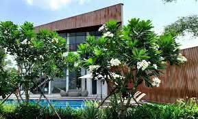 Bất động sản tại Long An - ảnh 1