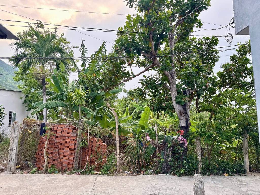 Bất động sản tại Khánh Hòa - ảnh 1