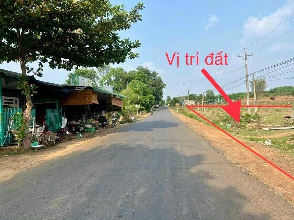 Bất động sản tại Bình Phước - ảnh 1