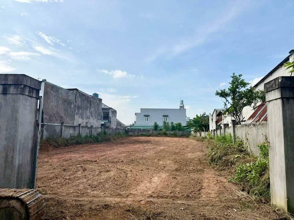 Bất động sản tại Bình Dương - ảnh 1