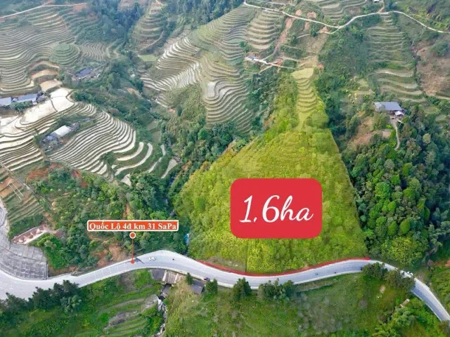 Bất động sản tại Lào Cai - ảnh 1
