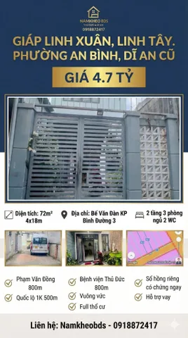 Bất động sản tại Bình Dương - ảnh 1