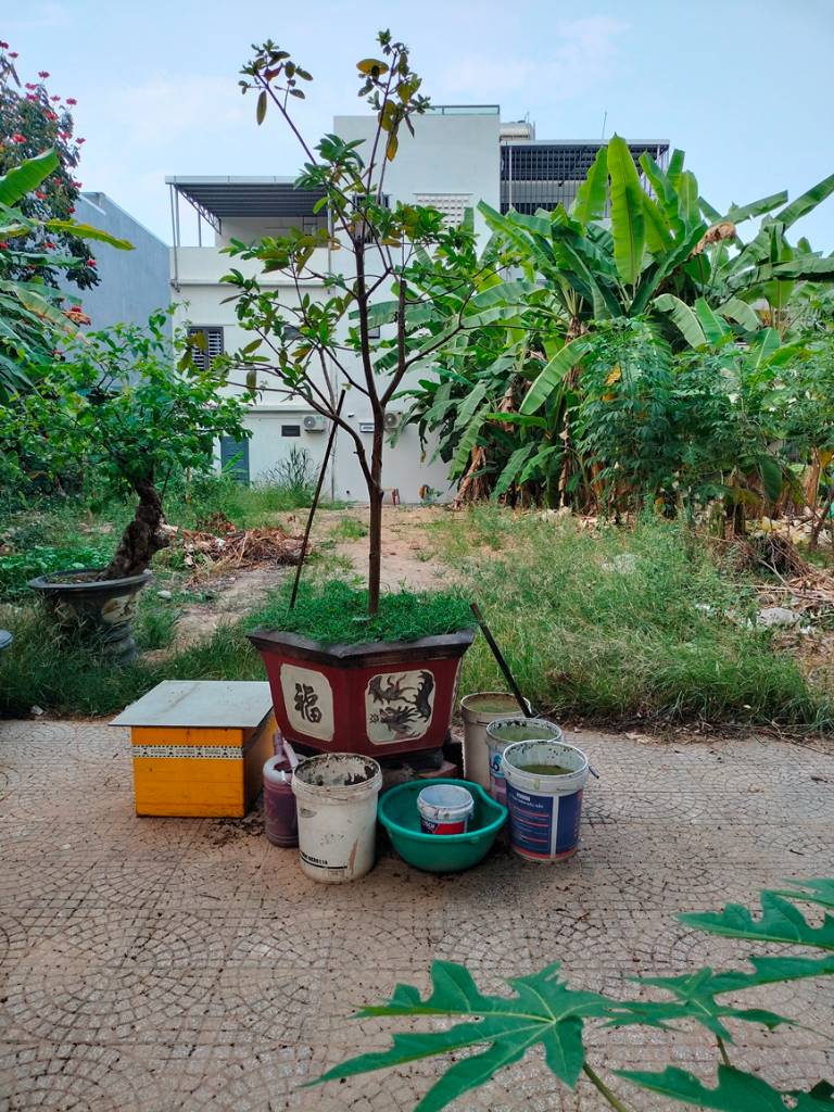 Bất động sản tại Đà Nẵng - ảnh 1