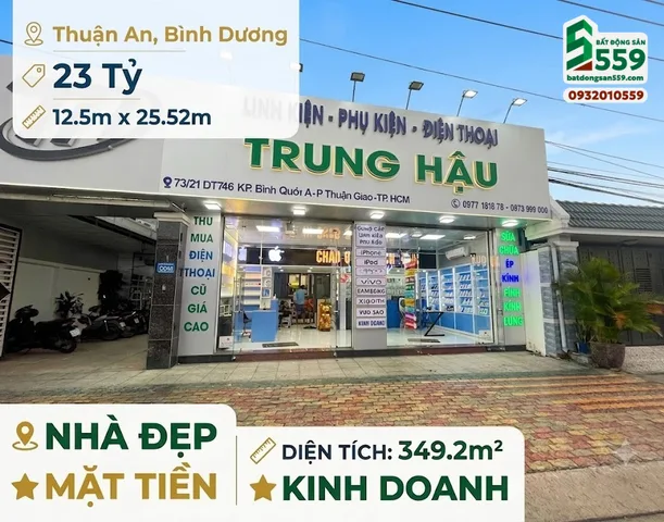 Bất động sản tại Bình Dương - ảnh 1