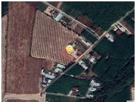 Bất động sản tại Bình Dương - ảnh 1