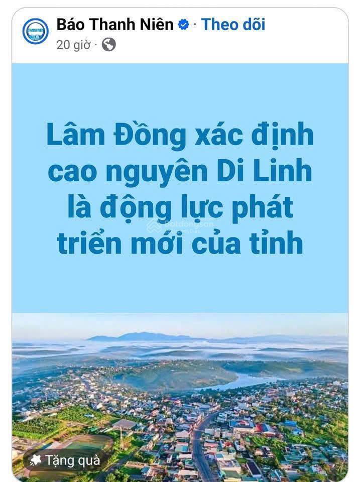 Bất động sản tại Lâm Đồng - ảnh 1