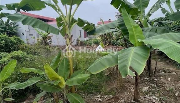 Bất động sản tại Hải Phòng - ảnh 1