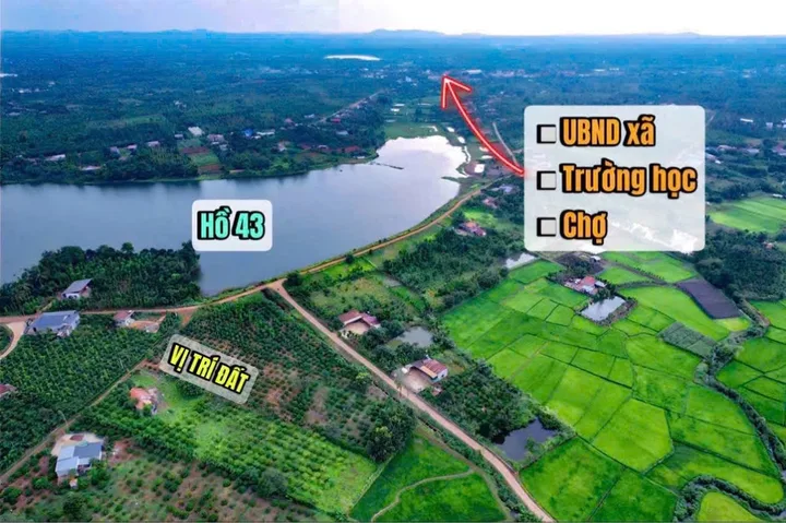 Bất động sản tại Đắk Lắk - ảnh 1