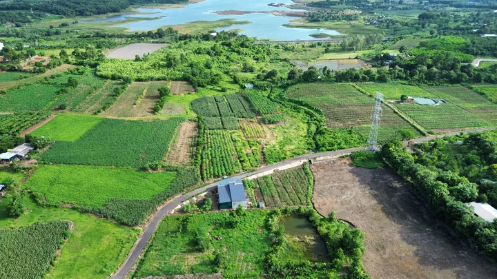 Bất động sản tại TP. Hồ Chí Minh - ảnh 1