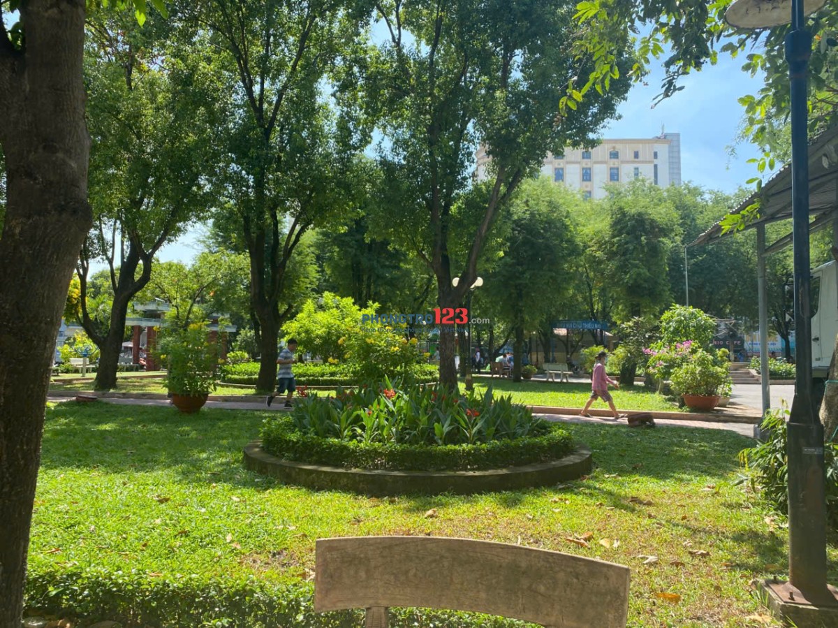 Bất động sản tại TP. Hồ Chí Minh - ảnh 1