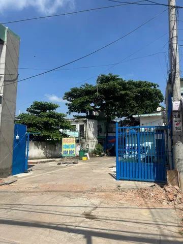 Bất động sản tại TP. Hồ Chí Minh - ảnh 1