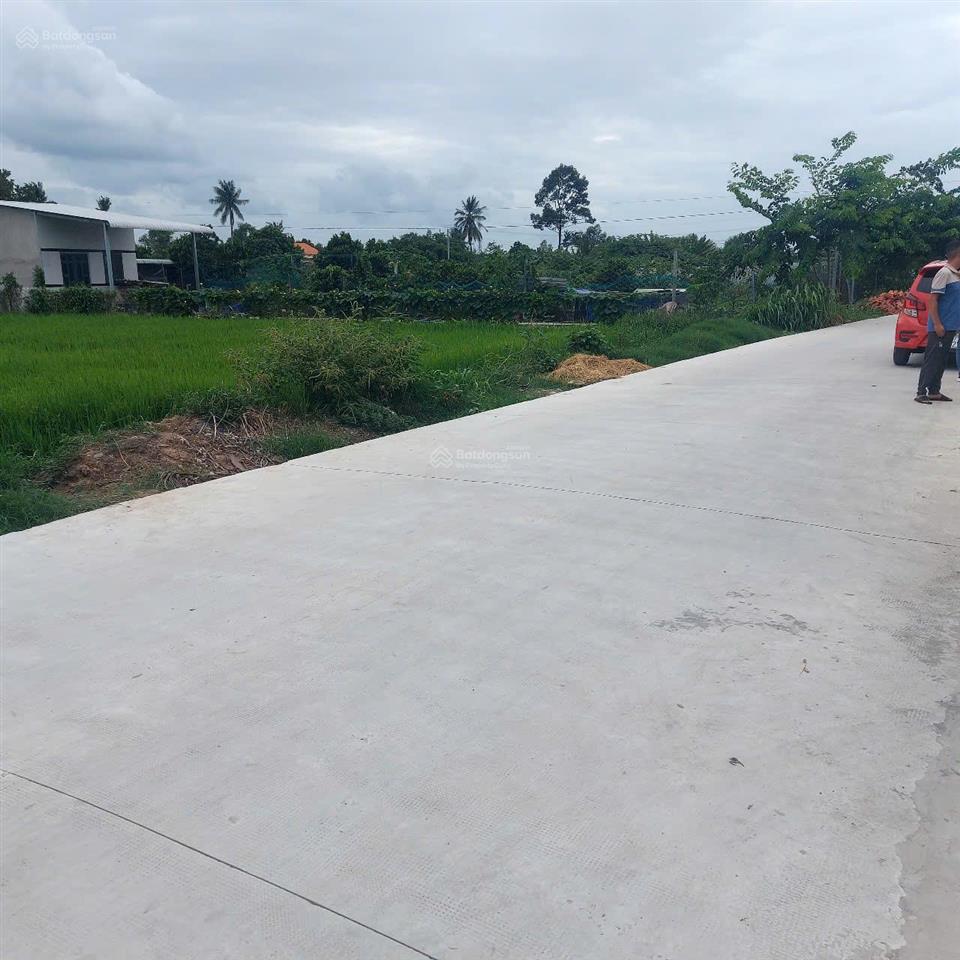 Bất động sản tại Long An - ảnh 1