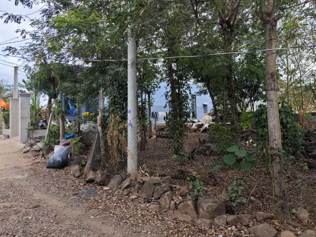 Bất động sản tại Lâm Đồng - ảnh 1