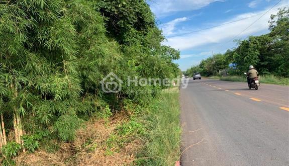 Bất động sản tại Bình Dương - ảnh 1