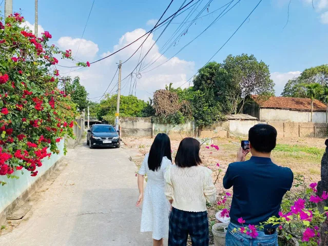 Bất động sản tại Ninh Bình - ảnh 1