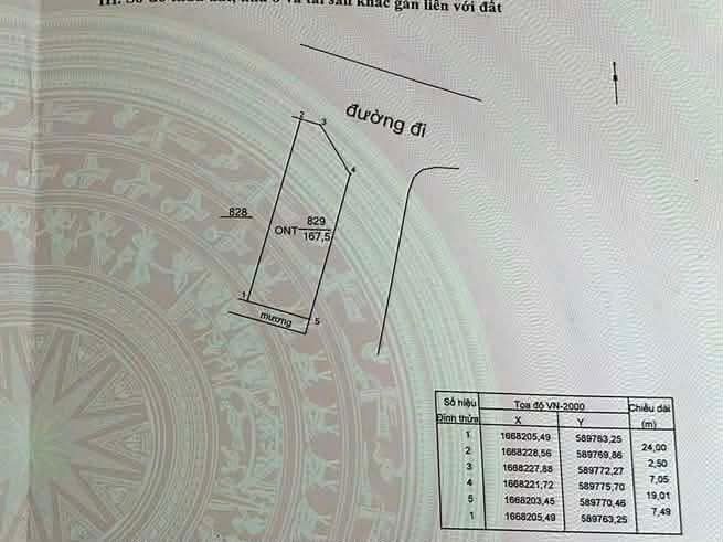 Bất động sản tại Quảng Ngãi - ảnh 1