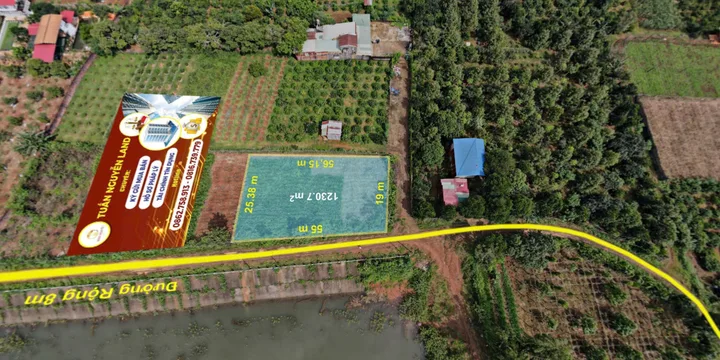 Bất động sản tại Gia Lai - ảnh 1