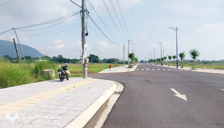 Bất động sản tại Bà Rịa - Vũng Tàu - ảnh 1