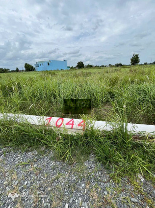 Bất động sản tại Long An - ảnh 1