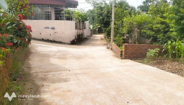 Bất động sản tại Phú Thọ - ảnh 1