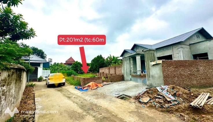 Bất động sản tại Vĩnh Phúc - ảnh 1