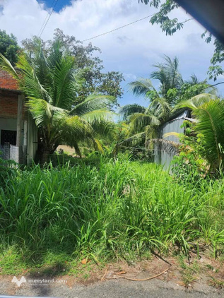 Bất động sản tại Bến Tre - ảnh 1