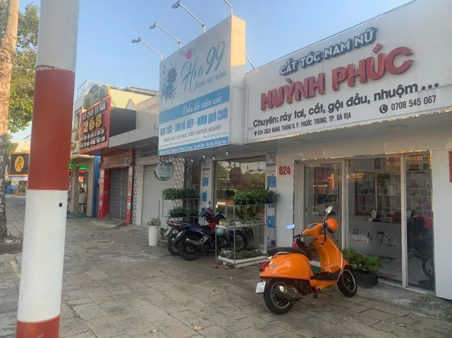 Bất động sản tại Bà Rịa - Vũng Tàu - ảnh 1