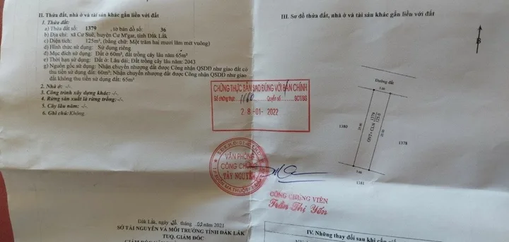 Bất động sản tại Đắk Lắk - ảnh 1