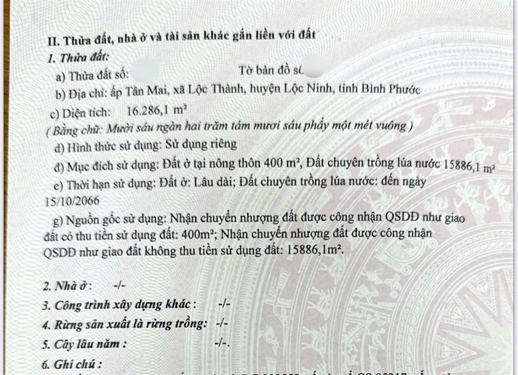 Bất động sản tại Bình Phước - ảnh 1