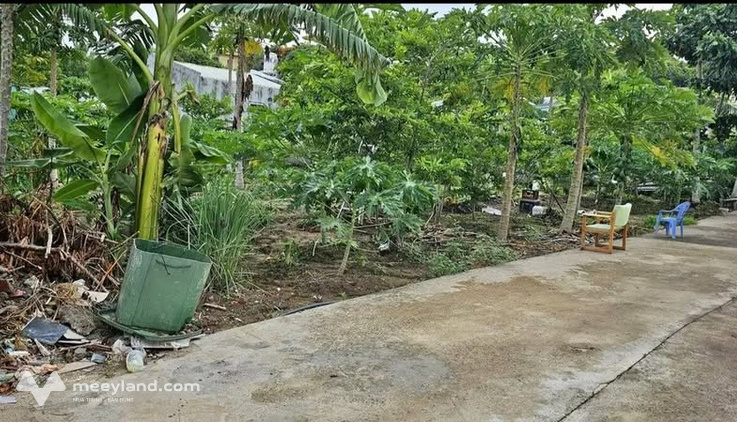Bất động sản tại Bà Rịa - Vũng Tàu - ảnh 1