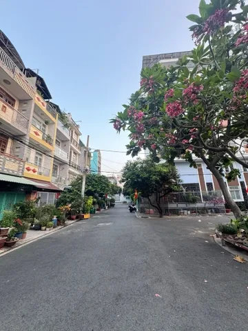 Bất động sản tại TP. Hồ Chí Minh - ảnh 1