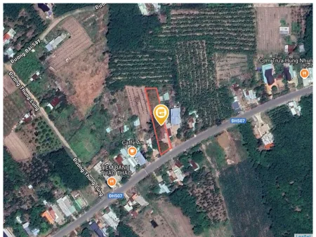 Bất động sản tại Bình Dương - ảnh 1