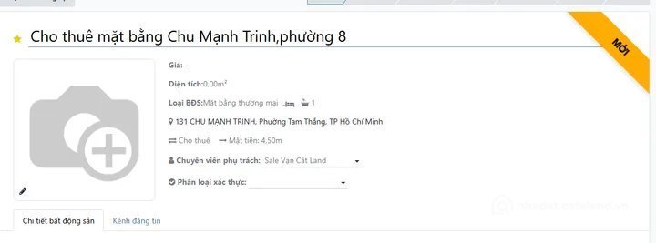 Bất động sản tại TP. Hồ Chí Minh - ảnh 1