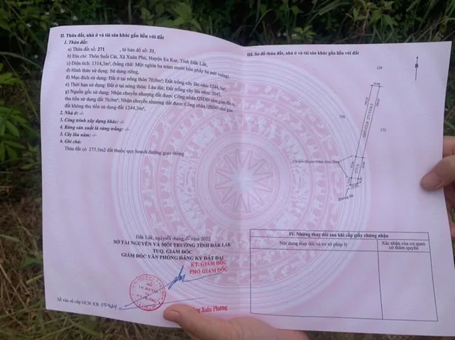 Bất động sản tại Đắk Lắk - ảnh 1