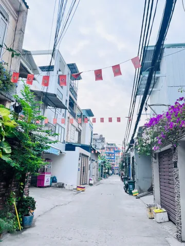 Bất động sản tại TP. Hồ Chí Minh - ảnh 1