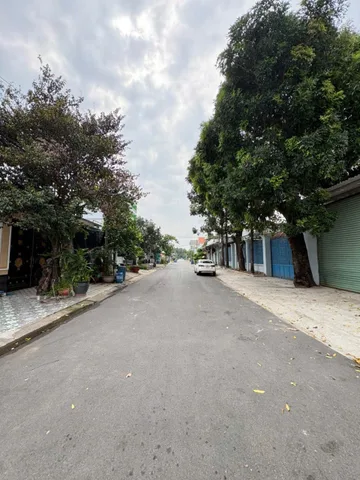 Bất động sản tại Bình Dương - ảnh 1