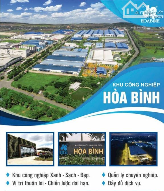 Bất động sản tại Long An - ảnh 1