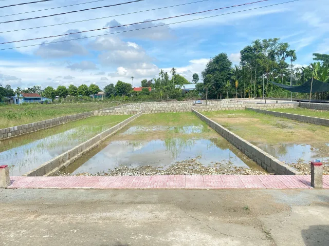 Bất động sản tại Thừa Thiên Huế - ảnh 1
