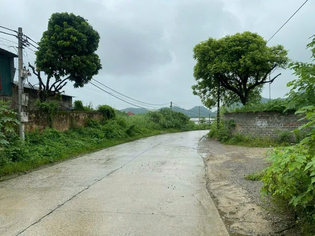 Bất động sản tại Phú Thọ - ảnh 1